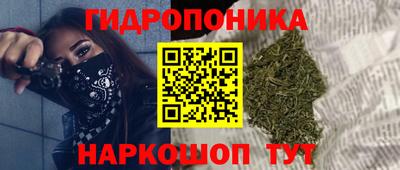сатива Кудымкар