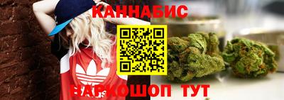 гашик Лениногорск